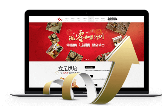 溫州營銷型網站建設,溫州網站建設